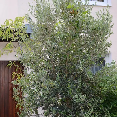 Apartmán Gaestehaus Nagoldblick Pforzheim