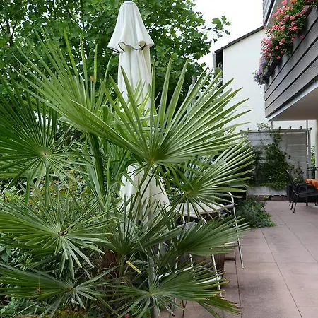 Apartmán Gaestehaus Nagoldblick